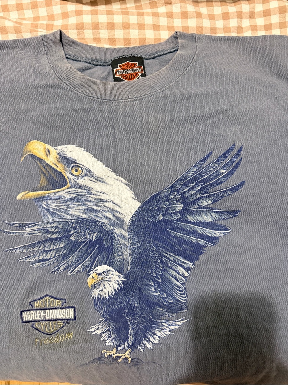 Vintage Harley-Davidson Gray-Blue Eagle Graphic Short Sleeve Tee